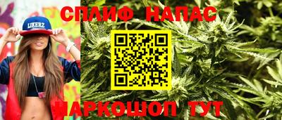 эйфоретик Гай