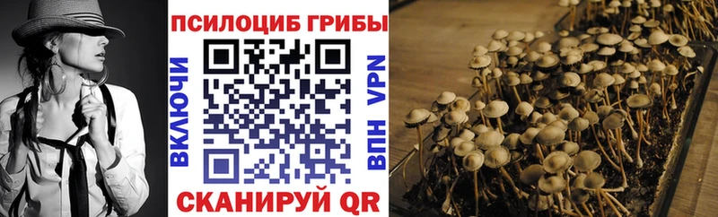 Галлюциногенные грибы MAGIC MUSHROOMS  Гусев 