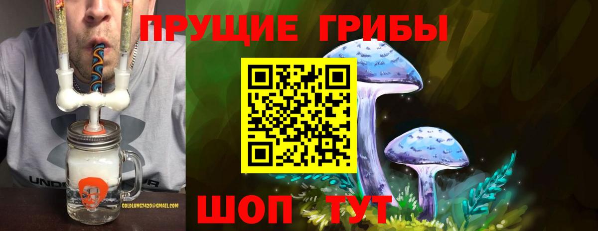 Галлюциногенные грибы Гусев