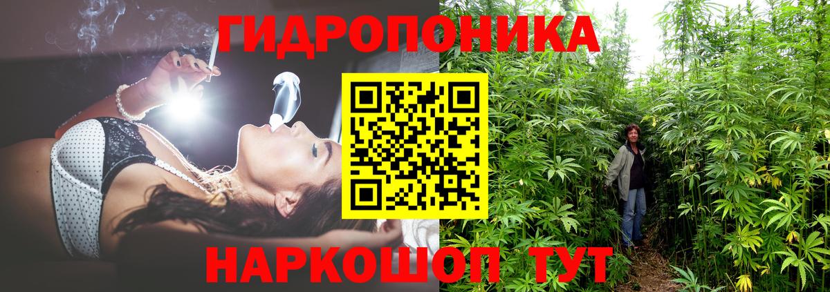 МАРИХУАНА ГИДРОПОН  Вход с VPN  Конопля SATIVA & INDICA  Канабис White Widow  Гусев  Шишки марихуана SATIVA & INDICA 