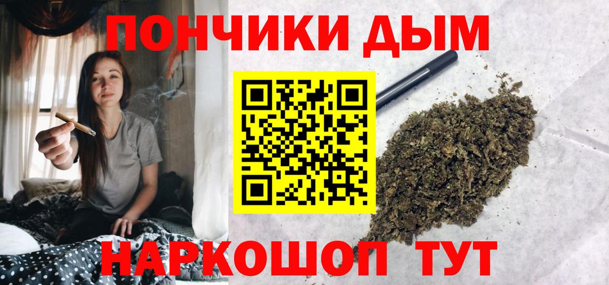Каннабис семена Гусев